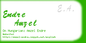 endre amzel business card
